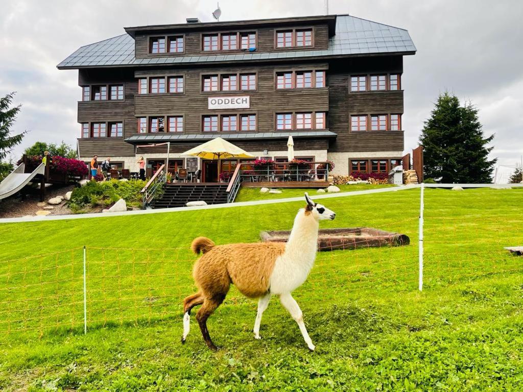 Hotel Oddech Pec pod Snezkou Exterior photo